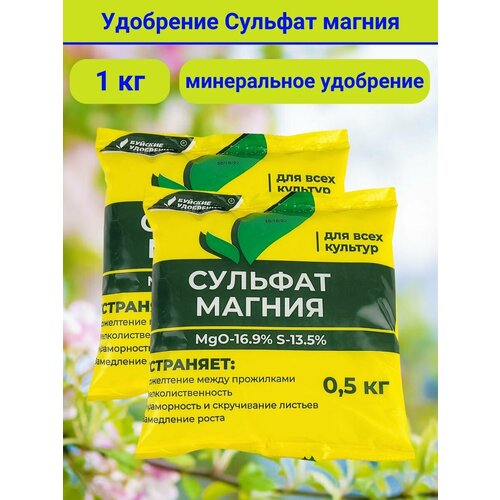 ���� 1�� ��������� ����������� ������� ������ 500� �2�� ������� ���������� ����� ������ ������