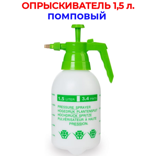 ���� ������������� 