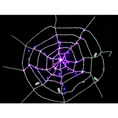 ���� ������� ���������� ������ ������