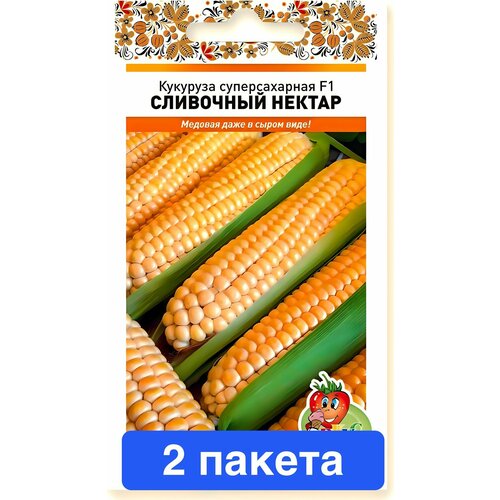 ���� ������ ������ ������� ������ 