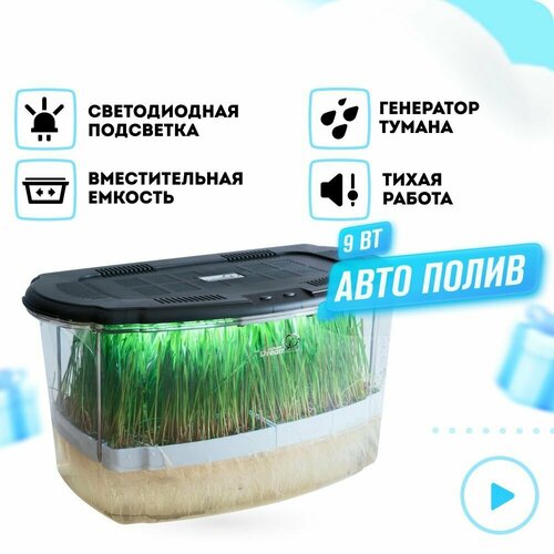 ���� RAWMID ������������� Dream Sprouter SDM-02, ���������� ������ ������