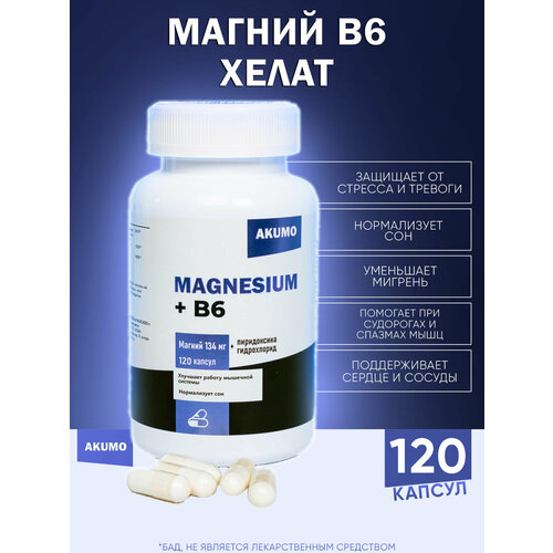 ���� ������ B6 AKUMO, 120 ������ ������ ������