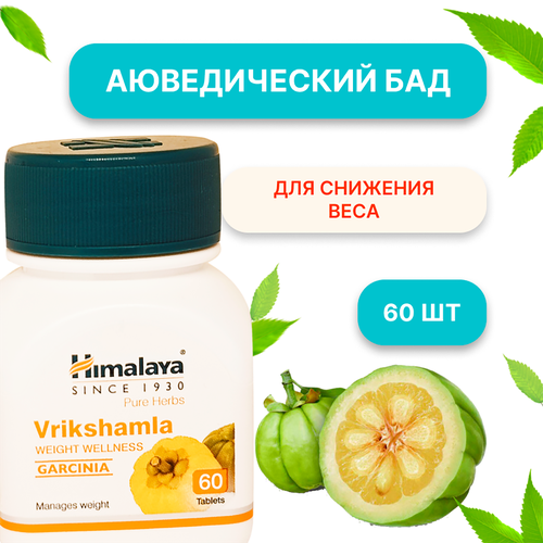 ���� ������������� ������� ������� Himalaya Vrikshamla ��� �������� ����, 60 �������� ������ ������