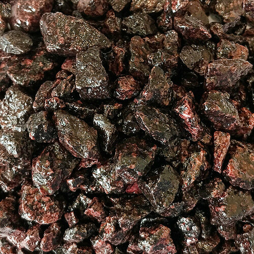 ���� ����������� ����� ��� ��������, ����������� � ��������, Zoo One, ��������� ��������, 