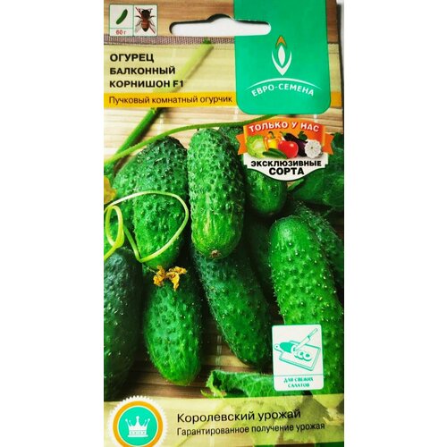 ���� ������ ��������� �������� F1. ����� ������������������ ����������� ������ ������ ������