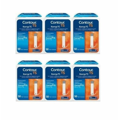 ���� ����-������� ������ �� (�ontour TS) � 300 ( 6�50, ���� 31.01.2025) ������ ������