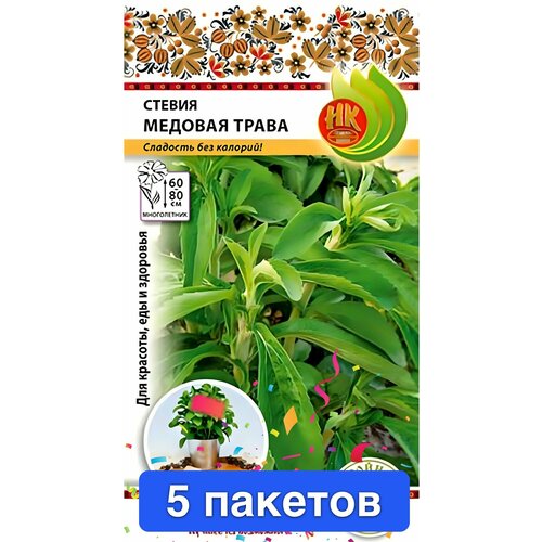 ���� ������ ������ � ��������� ������� ������ 