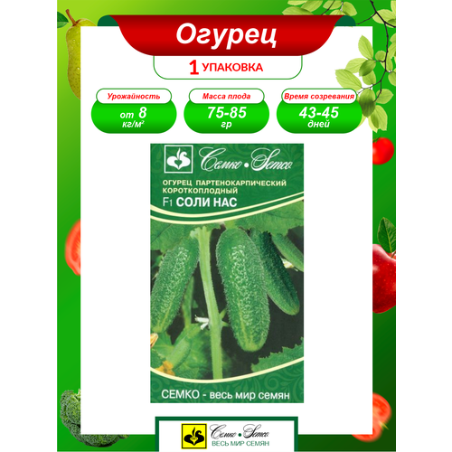 ���� ������ ������ ������������������ ���� ��� F1 ����������� 5 ��./����. ������ ������