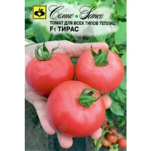 ���� ������ ����� ����� F1 20�� ����� ������ (�����) ������ ������