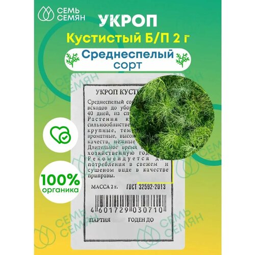 ���� ������. ����� 