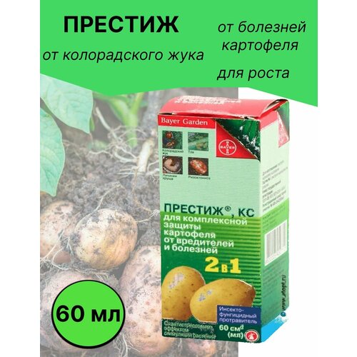 ���� ������� �� ��� ��������� 60 �� ������ ������