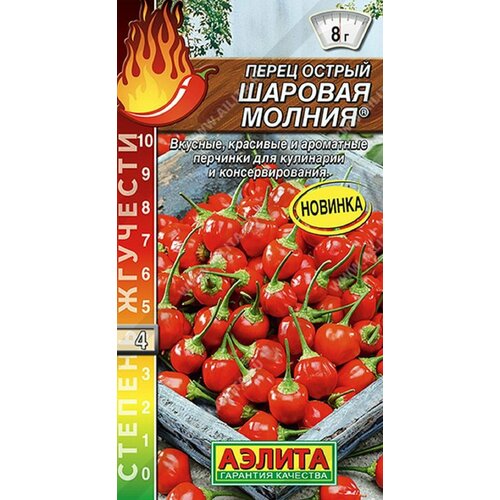 ���� ����� ������ ������� ������ ������ ������