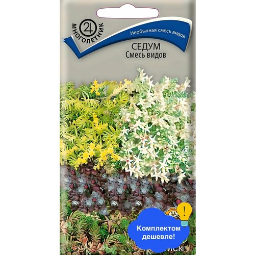 ���� ������ ������ ����� 