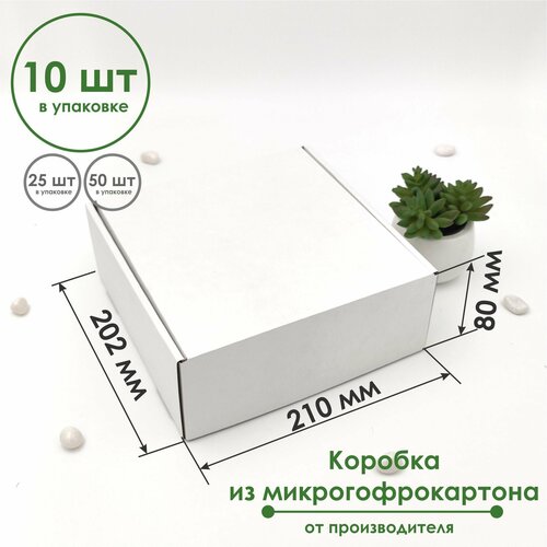 ���� ������� 210�202�80 �� (10 ��) ����������� ���������������� �����/����� ������ ������