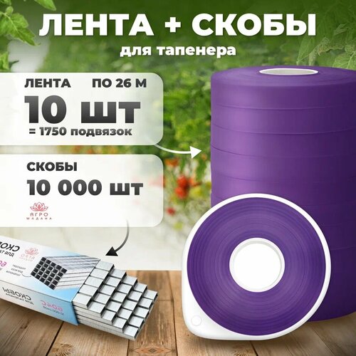 ���� ����� ��� �������� / ���������� �������� / �������� ��� �������� �������� ������ 10�� �� 24� + ����� 10,000 �� ������ ������