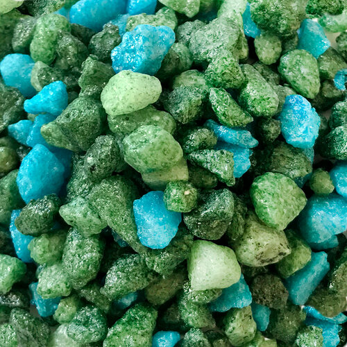 ���� ����������� ����� ��� ��������, ����������� � ��������, Zoo One, ��������� ��������, 