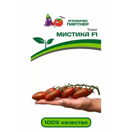 ���� ������ ������ 