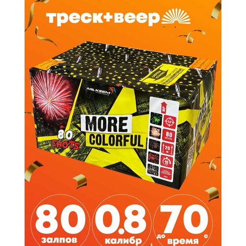 ���� �� ����� ��� 2024 ����������� ������ ������