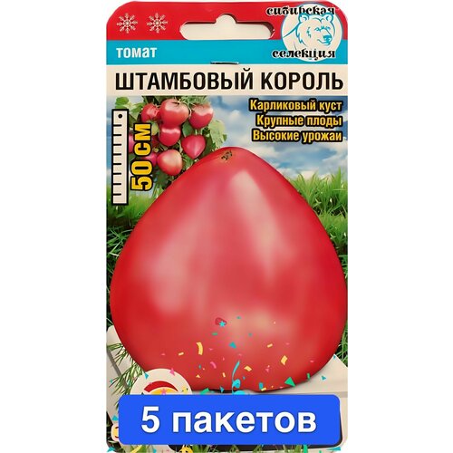 ���� ������ ������ ��������� ��� 