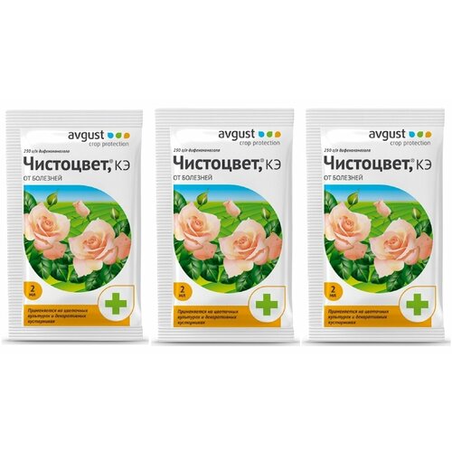 ���� Avgust �������� �� �������� �������� ���������, ��, 2 ��, 0.2 �, 3��. ������ ������