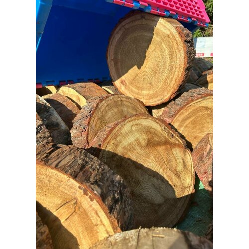 ���� ���� 1 �� ����������� ������ 30 �� ������� 9-10 �� ��������� ������ ������