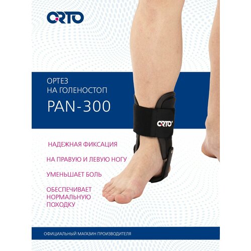 ���� ORTO ����� �� ������������� ������ PAN 300 ����������� 26 �� ������ 1 ��. ������������� ������ ������