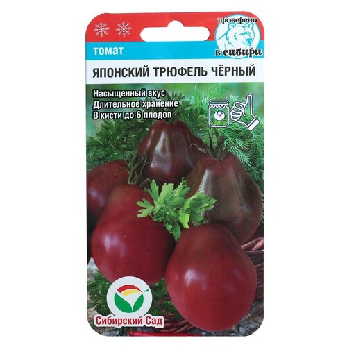 ���� ������ ����� 