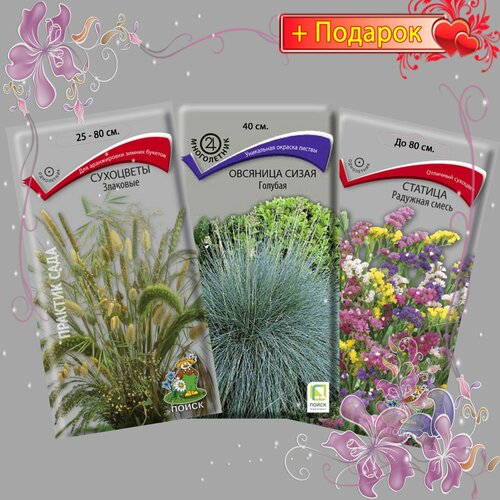 ���� ����� ����� ������ ���������, �������� �����, ������� (������, ��������),3��. ������ ������