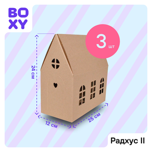          BOXY  II, 241225 ,  ,   3 .   -     , -, 