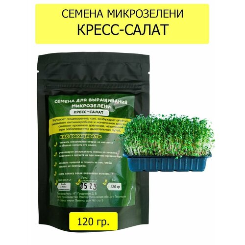 ���� ������ ��� ����������� ����������� �����-����� 120��. ������ ������