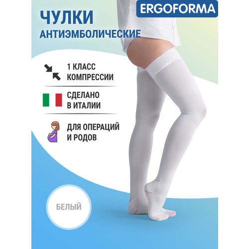    Ergoforma 1  ,  2,    -     , -, 