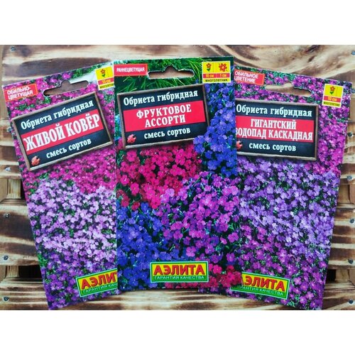 ���� ������ ����������� ������: ������� ������ ������