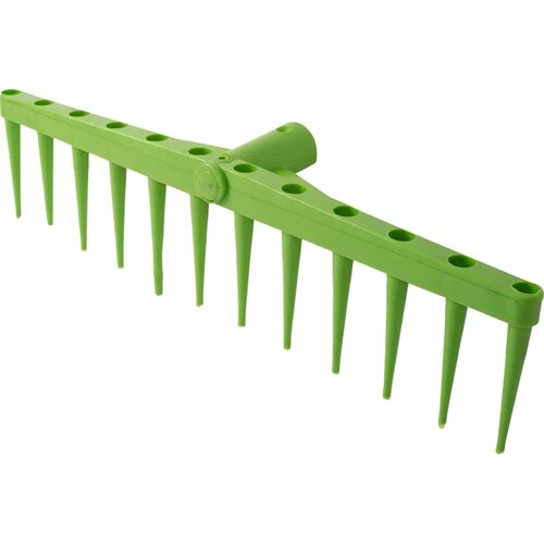 ���� ������ ������ 22 ���� ������� ��� ������� ������ ������