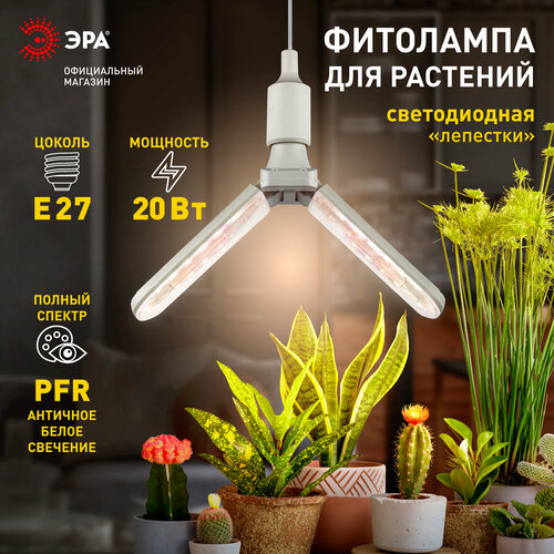       GREEN LINE -20W-PFR-E27-GR 2-    20  27   -     , -, 