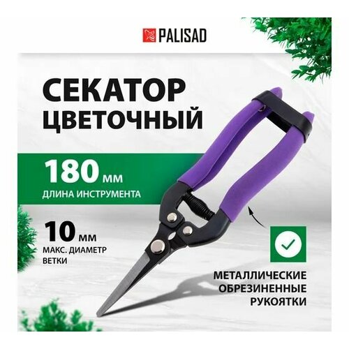    180 ,  . , . ,    PALISAD   -     , -, 