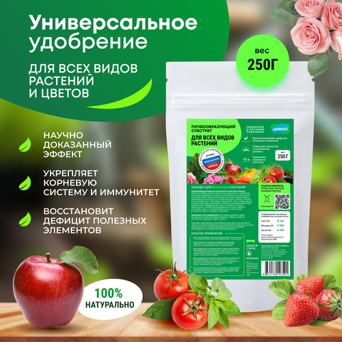 ���� ����� ������������� �������� ��������� ��� �������� ������� � ���� ������ ������ ������� ��������� ����� 250 � ������ ������