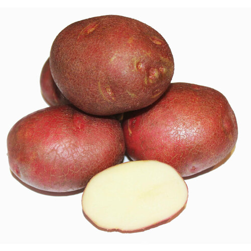 ���� ��������� �������� �������� (����������) (4 ��) �������������, �������� ������ ������