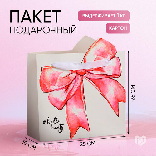 ���� ����� ���������� ������ ������� �������, 25 x 26 x 10 ��, ����� ������ ������