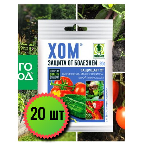 ���� �������� ������ �� �������� ��� 20 � ��� ������, 20�� ������ ������