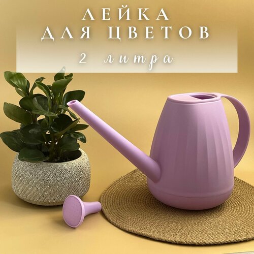 ���� ����� ����������� 2 ����� ������ ������