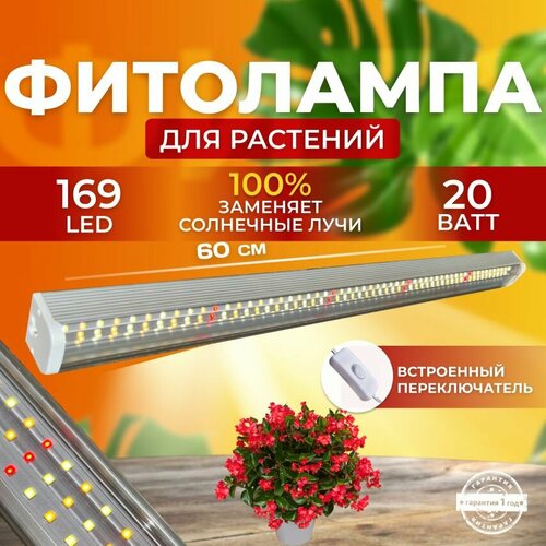      ,    ,     ,  168 LED 20    -     , -, 