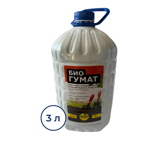 ���� �������� 3 � ���-�������� ������ ������