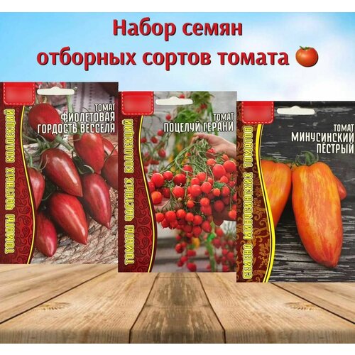 ���� ������ ������ �������� ����� ������� ����� 3 �������� ������ ������