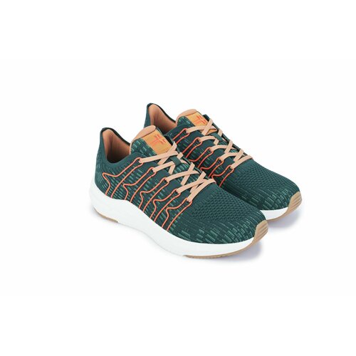 ���� ������� �������������� ��������� ORTENBERG Honnef, ���. 13.24, ����-������, ������ 42 ������ ������