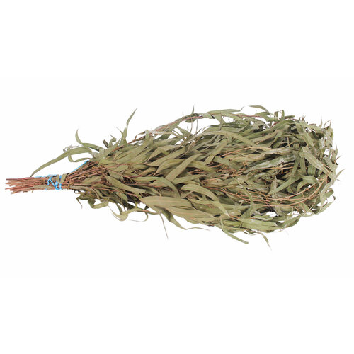 ���� ����� �������� ������ ������