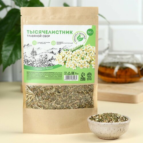 ���� �������������, �������� ����, ��������������������� ������, �������� ���������, 50 �. 1��. ������ ������