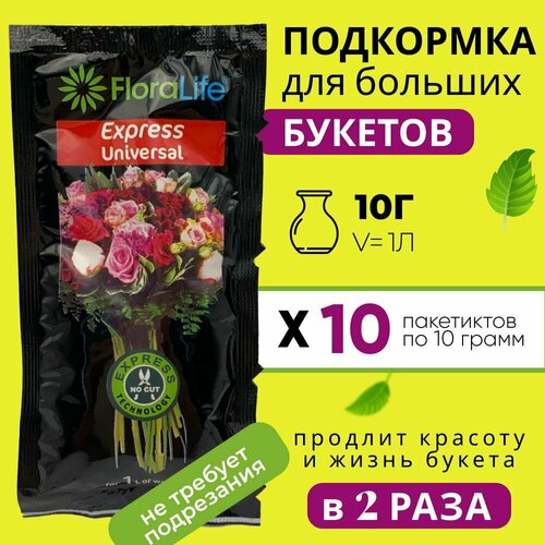  ,    ,  Floralife express universal, 10  10   -     , -, 