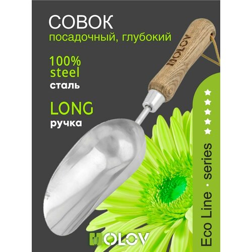 ���� ����� ���������� �������� ����. ����� � �����. ������ `OLOV �������` ������ ������