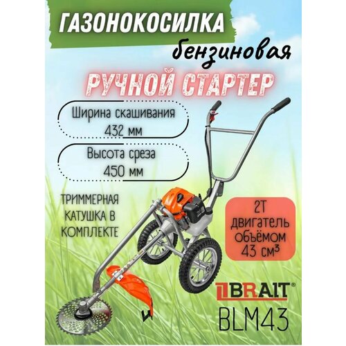    BRAIT BLM43(   )  