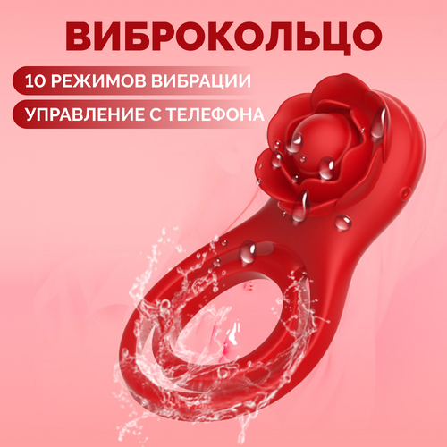 ���� ����������� ������ � ��������� / ������ ����������� ������ ������